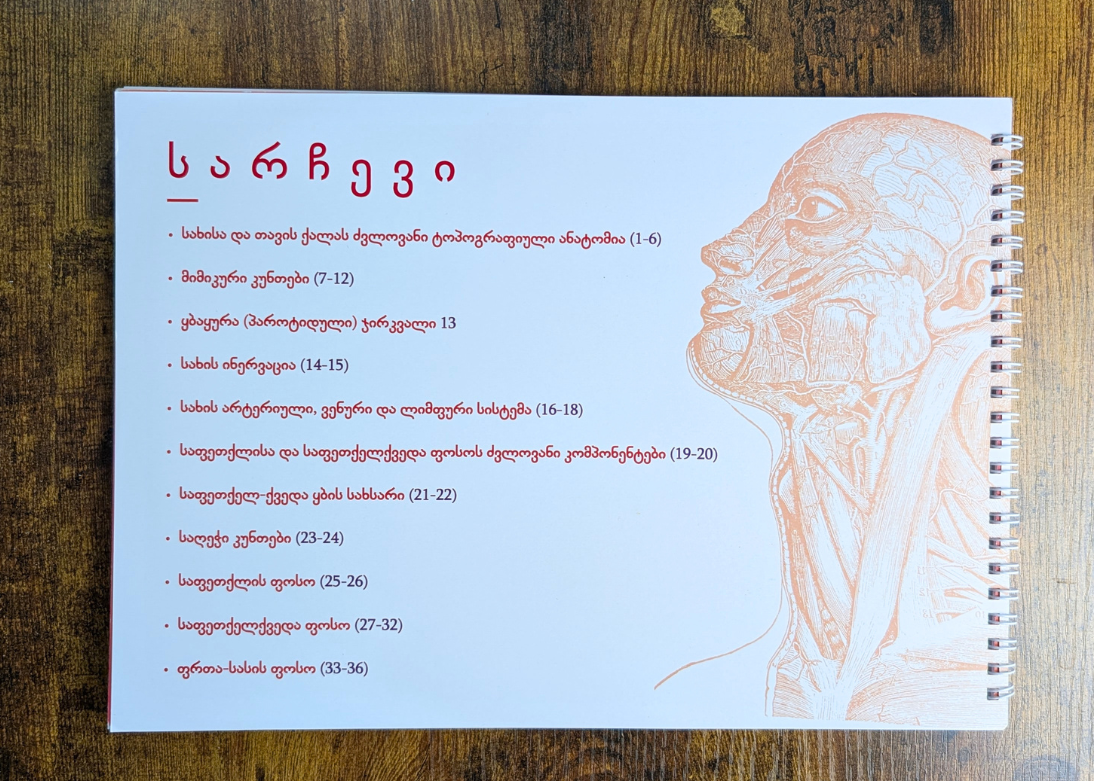 სახის ანატომიის ბარათები